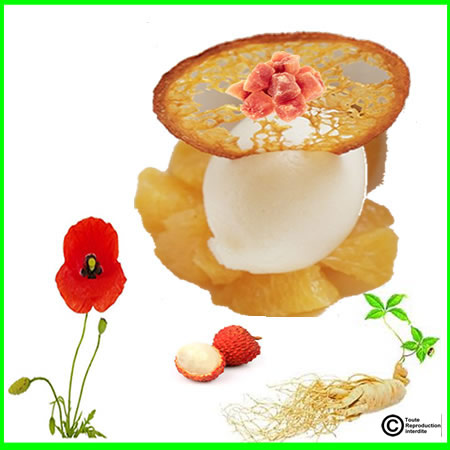 sorbet coquelicot  ginseng
